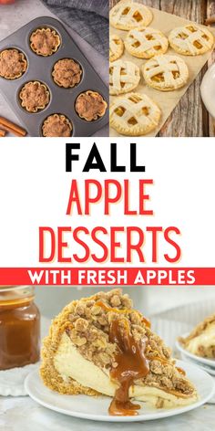 Check out these best fall apple desserts with fall apples.  These fall apple dessert recipes range from cookies to cakes and more.  There are fall apple desserts for a crowd, quick and easy fall apple desserts and so much more. Desserts With Fresh Apples, Apple Desserts For A Crowd, Easy Fall Apple Desserts, Fall Apple Desserts, Apple Crunch, Fall Treats Recipes, Crunch Cheesecake, Fall Apple Recipes