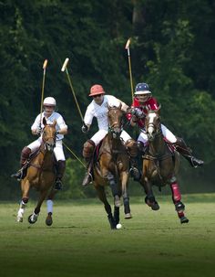 three men playing polo on horses in the grass with trees in the backgroud