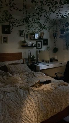 a cat is laying on the bed in a dimly lit room with plants hanging from the ceiling