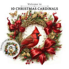 a christmas card with a cardinal on it's front and the words welcome to christmas cardinals