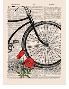 a bicycle with red flowers on the front wheel and spokes is featured in an old book page