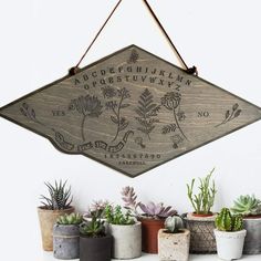 a wooden sign hanging from the side of a wall next to potted plants and succulents