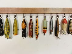 there are many different types of fish hanging from the hooks on this wall mounted rack