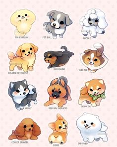 the different breeds of dogs are depicted in this poster