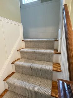 there is a cat that is sitting on the stairs next to the carpeted steps