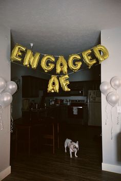 a dog is standing in the middle of a room with balloons that say engaged are