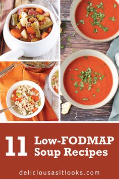 11 Low FODMAP Soup Recipes - Delicious as it Looks Low Fodmap Frozen Meals, Low Fodmap Soup Vegetarian, Low Fodmap Chicken Tortilla Soup, Low Fodmap Crockpot Recipes, Fodmap Soup Recipes, Low Fodmap Soup Recipes, Low Fodmap Soup, Fodmap Soups, Fodmap Soup