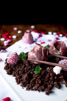 there are some desserts on the plate with chocolate and raspberries