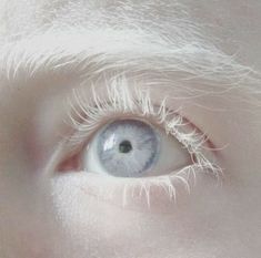 an eye with white hair and blue eyes