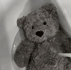 a teddy bear sitting in a toilet bowl with water on it's back legs