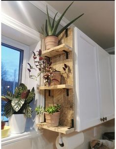 a wooden shelf with plants on top of it