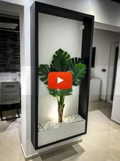 a large mirror with a plant in it and a video playing on the wall behind it