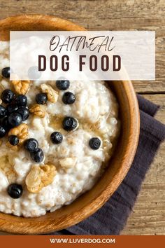 Oatmeal Dog Food Recipes Cheap Dog Food Recipes, Breakfast For Dogs Recipes, Homade Dog Treats, Oatmeal For Dogs, Dog Breakfast, Foods Dogs Can Eat, Treat Business