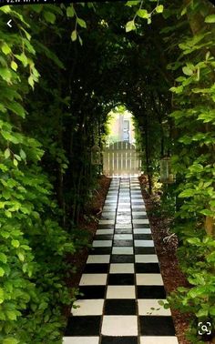 the walkway is lined with green trees and white checkerboard flooring, leading to an open gate