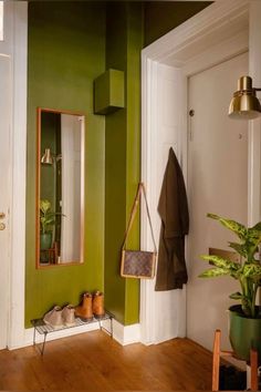 a hallway with green walls and wooden flooring next to a potted houseplant