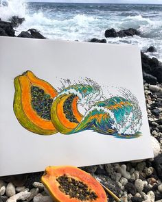 a piece of fruit sitting on top of a rocky beach