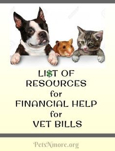 a dog and two cats with the title list of resources for financial help for vet bills