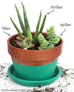 an image of a potted plant with labeled parts on the top and bottom half