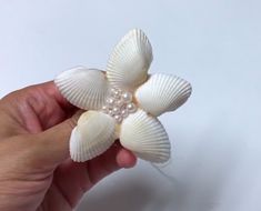 a hand holding a small white flower with pearls on it's center and the petals are shaped like seashells