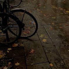 a bicycle parked on the side of a street next to a sidewalk covered in leaves