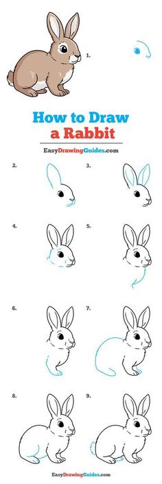 how to draw a rabbit for kids