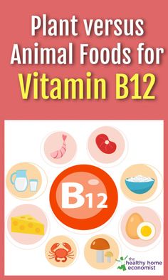 Comparison of the quality and amount of Vitamin B12 in animal versus plant-based foods and whether the gut can produce it in usable form. Best Plants For Home, Animal Foods, Natural Mom, Foods Healthy, Health Routine, Abdominal Fat