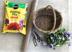 flowers and gardening supplies laid out on the ground next to a basket with potting mix