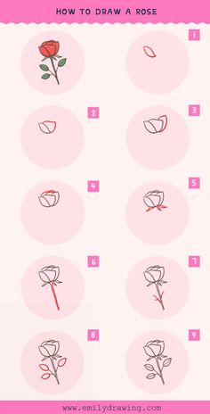 how to draw a rose step by step