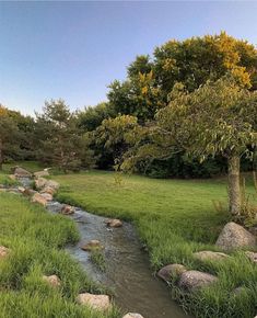 a small stream running through a lush green field next to rocks and trees in the distance