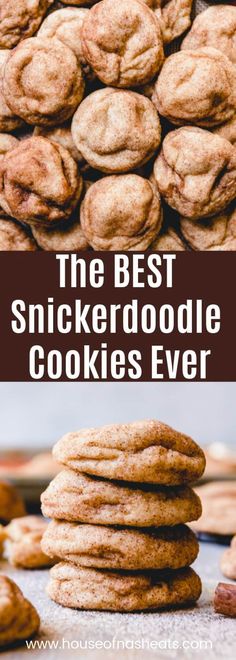 the best snickkerdoodle cookies ever