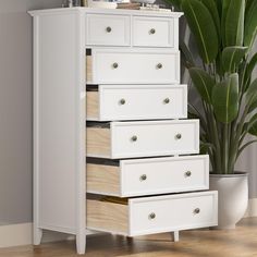 a tall white dresser with drawers in front of a potted plant on the floor