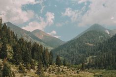 the mountains are covered with trees and grass