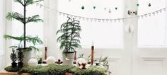 a table topped with potted plants next to a window