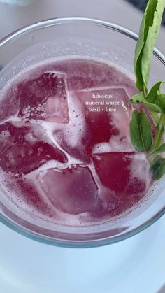 a glass filled with ice and water next to a green leafy plant on top of a table