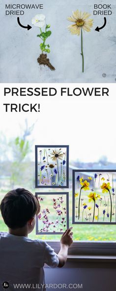 a boy looking out the window at flowers