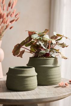 two green vases sitting on top of a wooden table next to a pink plant