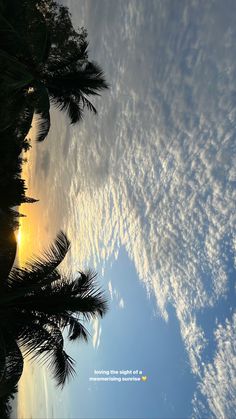 the sun is shining through some clouds and palm trees in the foreground, as seen from below