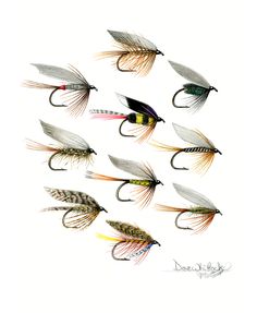 six flies are shown in different colors and sizes