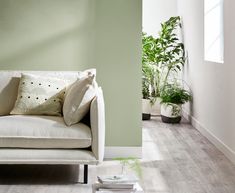 a white couch sitting next to a green wall and potted plants on the floor