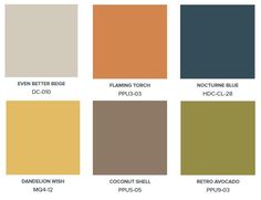 the different colors of paint for walls and ceiling in various shades, including brown, green,