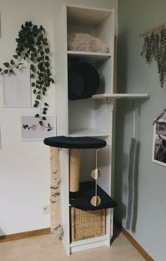 a cat tree in the corner of a room