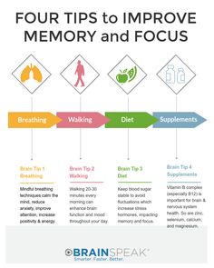 Improve Memory Brain, Memory Exercises, Focus Concentration, Brain Surgeon, Increase Memory, Improve Your Memory, Brain Memory, Boost Memory, Short Term Memory