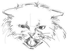 a drawing of a cat's face with its mouth open