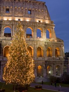 the christmas tree is lit up in front of the colossion