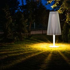 a lamp sitting on top of a lush green field next to a forest at night