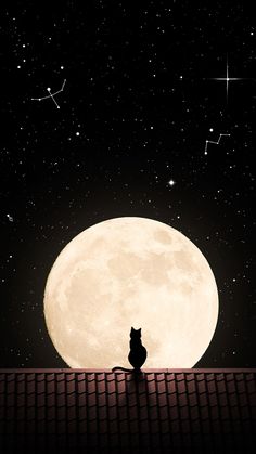 a cat sitting on top of a roof looking at the stars