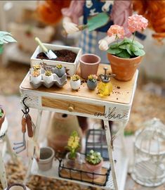 a miniature garden table with potted plants and other things on it's stand