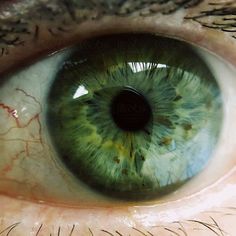 an extreme close up view of the iris of a human eye