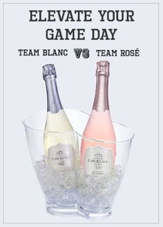 two bottles of champagne in ice buckets with text that reads, elevate your game day team blanc vs team rose