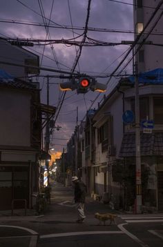 a man walking his dog down the street